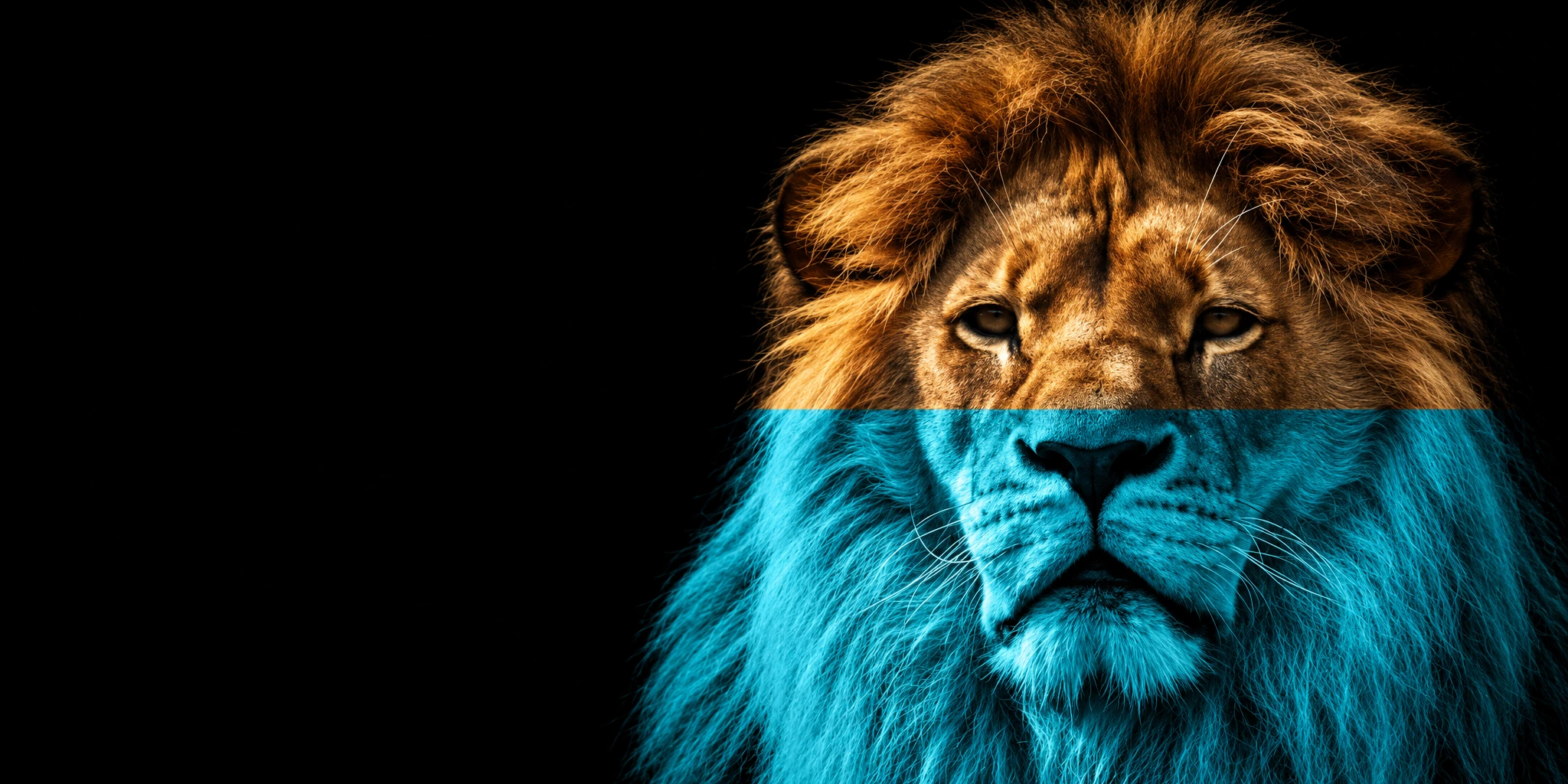 Lion in Expro teal